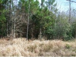 63001 Old Citronelle Hwy Eight Mile, AL 36613 - Image 1637683