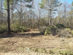 LOT 21 MISSION CIRCLE Guntersville, AL 35976 - Image 1637987