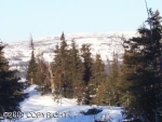 L2 B16 Horseshoe Road Homer, AK 99603 - Image 1642130