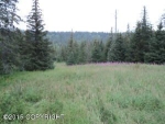 64881 West Bridge Avenue Homer, AK 99603 - Image 1642129