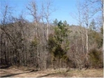 CR 501 30 acres Berryville, AR 72616 - Image 1644358