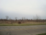 23.5 Acres Vacant Land Monroe, MI 48162 - Image 1645151