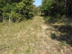 00 Hwy 201 North Clarkridge, AR 72623 - Image 1647218