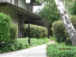 1810 Chinquapin Ct Apt B Concord, CA 94519 - Image 1647977