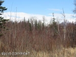 9289 E Spring Creek Circle Palmer, AK 99645 - Image 1649026