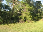 TBD SW 146TH PL RD Ocala, FL 34473 - Image 1650195