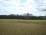 983 J. Harris Rd Slocomb, AL 36375 - Image 1652204