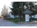 4566 Waterville Drive San Jose, CA 95118 - Image 1653439