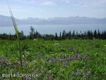 L1 Cottonwood Hill Avenue Homer, AK 99603 - Image 1654817