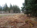 5501 Clearwater Drive Homer, AK 99603 - Image 1657123