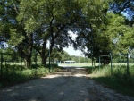 441 Petty Rd Santo, TX 76472 - Image 1657932