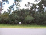 SW 144TH PL RD Ocala, FL 34473 - Image 1667191