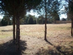 Lot #21, Rock Wall Heights Clarksville, AR 72830 - Image 1670855