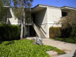 280 Easy St Apt 203 Mountain View, CA 94043 - Image 1673146