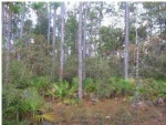 LOT 70 MAGNOLIA BAY Freeport, FL 32439 - Image 1686076