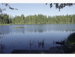 270 NE Lake Christine Rd Tahuya, WA 98588 - Image 1687365