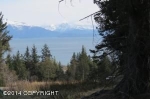 3771 W Hill Road Homer, AK 99603 - Image 1697722