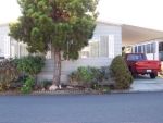 1111 Morse Ave., #213 Sunnyvale, CA 94089 - Image 1698516