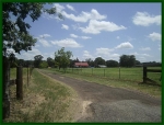 1122 Vz County Road 1219 Grand Saline, TX 75140 - Image 1704399