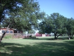 2218 County Road 355 Carbon, TX 76435 - Image 1708920