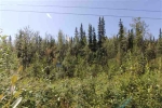 2900 Max Loop North Pole, AK 99705 - Image 1708989