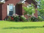 405 E Morningview Enterprise, AL 36330 - Image 1711643