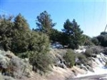 Paramount Dr, lot 181 Tehachapi, CA 93561 - Image 1712636