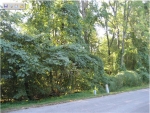 Lot 8, 9 &amp; 10 Blk 12 Nuhya Loudon, TN 37774 - Image 1720509