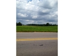 0 HWY 91 Hanceville, AL 35077 - Image 1721391