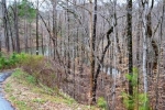 Cliffs Fs Towne Landing Lt 22 Salem, SC 29676 - Image 1722025