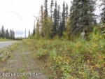 3990 N Fireweed Fields Drive Wasilla, AK 99654 - Image 1724250