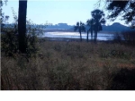 2733 ROSEVILLE RD Wadmalaw Island, SC 29487 - Image 1725495