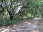 0 SLIM RD Wadmalaw Island, SC 29487 - Image 1725497