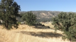 23800 Dart Dr Tehachapi, CA 93561 - Image 1725458