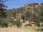 Jack Springs Rd, lot 13 Tehachapi, CA 93561 - Image 1725459