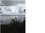 1 PECANETTA RD Wadmalaw Island, SC 29487 - Image 1725500