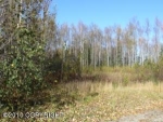 20700 Bill Stephens Drive Chugiak, AK 99567 - Image 1726321