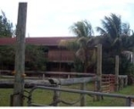 21281 SW 152 ST. HORSE STALLS Miami, FL 33187 - Image 1726646