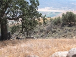 Skyline, lot 107 Tehachapi, CA 93561 - Image 1726664