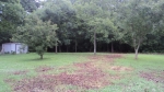 3376 County Road 46 Dawson, AL 35963 - Image 1727846