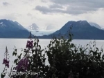 4288 Kachemak Drive Homer, AK 99603 - Image 1727831