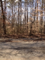 Congress Drive Lot 29 Athens, AL 35613 - Image 1727878