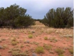 Sec 7 Chevelon Acres Heber, AZ 85928 - Image 1728741