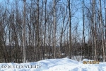 1176 W Airway Circle Wasilla, AK 99654 - Image 1729021