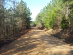 0 Olen Mills Rd Guin, AL 35563 - Image 1729395