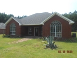 8765 Jack Williams Rd Wilmer, AL 36587 - Image 1731879