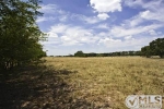 4370 Rs County Road 4370 Emory, TX 75440 - Image 1733872