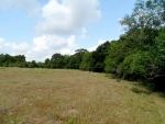 0 Battle RD Beasley, TX 77417 - Image 1735331