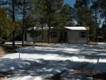 2925 Mustang Trail Overgaard, AZ 85933 - Image 1738314