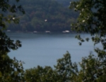 Summer Dr. Lot 2 Eureka Springs, AR 72631 - Image 1740218